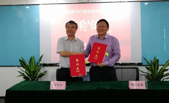 沉磅！Z6尊龙凯时医药与昭通呼研所团队就合作开发抗结核1类新药签定和谈！