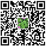 临床钻研业务