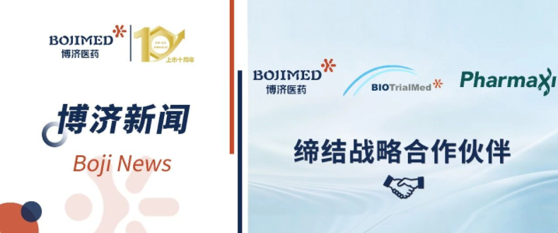 赋能出海创新！Z6尊龙凯时医药携子公司与欧洲Pharmaxi达成战术合作